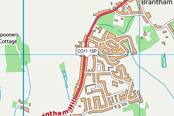 CO11 1SP map - OS VectorMap District (Ordnance Survey)