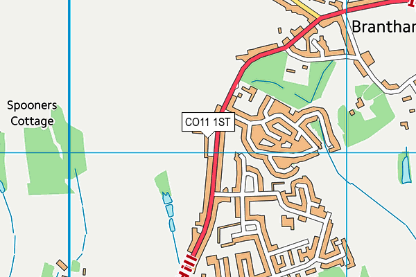 CO11 1ST map - OS VectorMap District (Ordnance Survey)