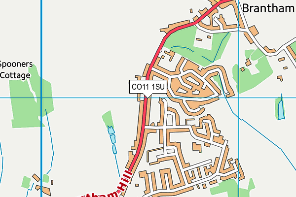 CO11 1SU map - OS VectorMap District (Ordnance Survey)