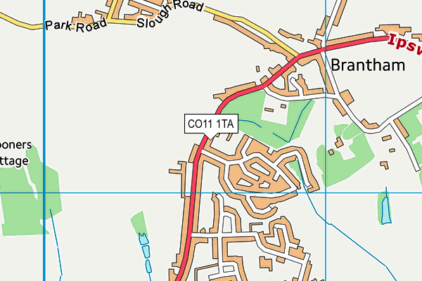 CO11 1TA map - OS VectorMap District (Ordnance Survey)