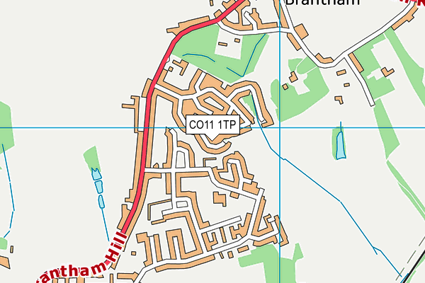 CO11 1TP map - OS VectorMap District (Ordnance Survey)