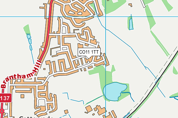 CO11 1TT map - OS VectorMap District (Ordnance Survey)