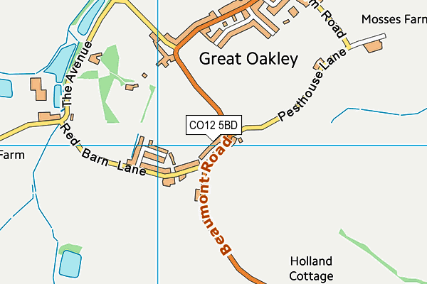 CO12 5BD map - OS VectorMap District (Ordnance Survey)