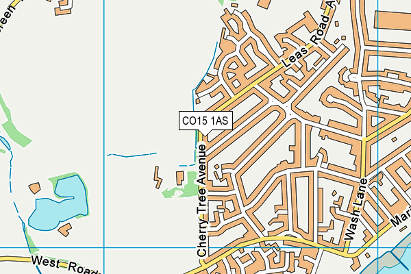 CO15 1AS map - OS VectorMap District (Ordnance Survey)