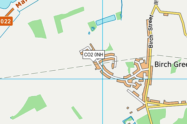 CO2 0NH map - OS VectorMap District (Ordnance Survey)