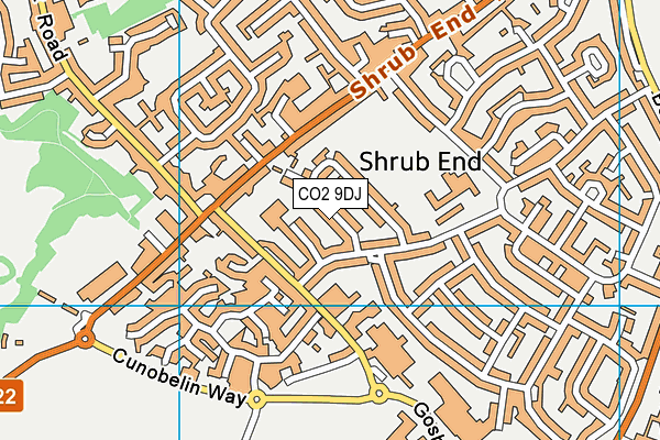 CO2 9DJ map - OS VectorMap District (Ordnance Survey)