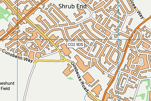 CO2 9DS map - OS VectorMap District (Ordnance Survey)