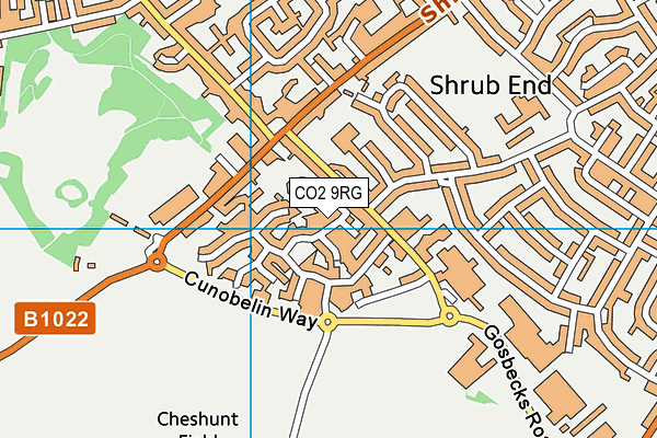 CO2 9RG map - OS VectorMap District (Ordnance Survey)