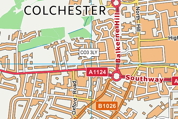 CO3 3LY map - OS VectorMap District (Ordnance Survey)