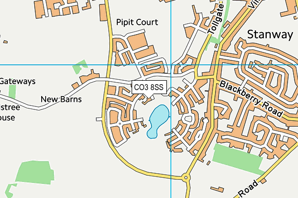 CO3 8SS map - OS VectorMap District (Ordnance Survey)
