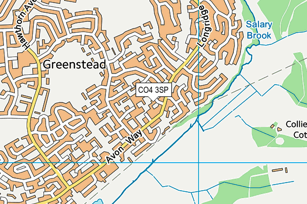 CO4 3SP map - OS VectorMap District (Ordnance Survey)