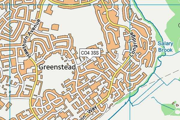 CO4 3SS map - OS VectorMap District (Ordnance Survey)