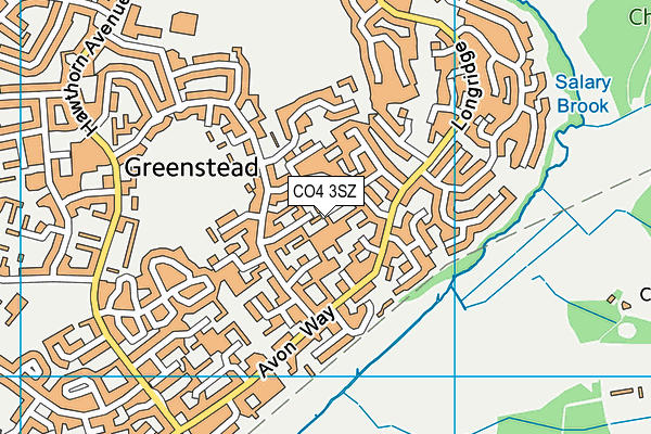 CO4 3SZ map - OS VectorMap District (Ordnance Survey)