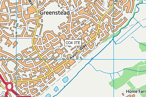 CO4 3TE map - OS VectorMap District (Ordnance Survey)
