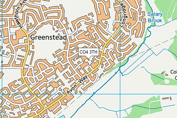 CO4 3TH map - OS VectorMap District (Ordnance Survey)