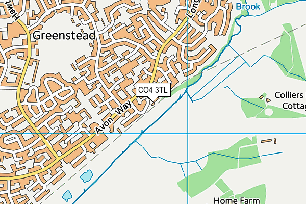 CO4 3TL map - OS VectorMap District (Ordnance Survey)