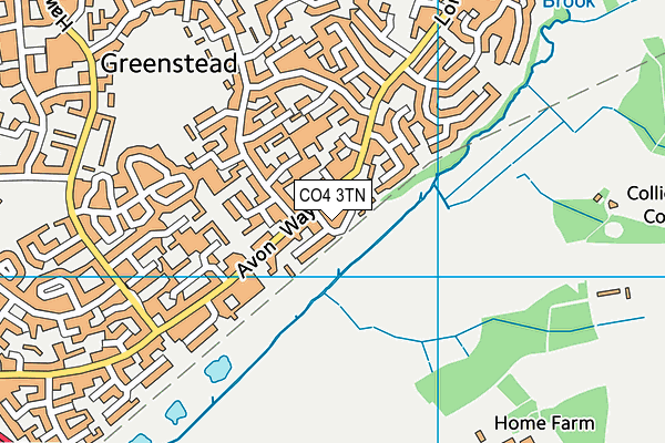 CO4 3TN map - OS VectorMap District (Ordnance Survey)
