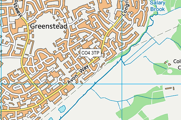 CO4 3TP map - OS VectorMap District (Ordnance Survey)