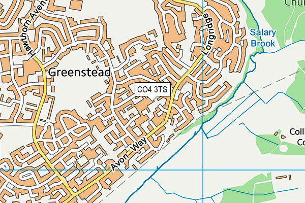 CO4 3TS map - OS VectorMap District (Ordnance Survey)