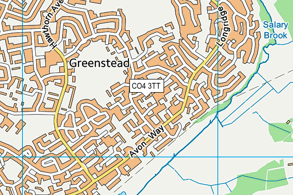CO4 3TT map - OS VectorMap District (Ordnance Survey)