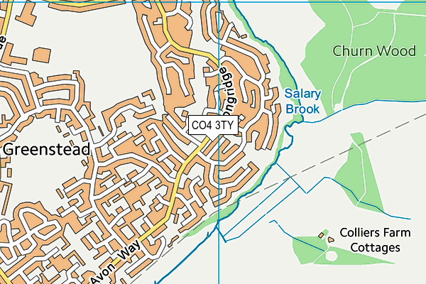 CO4 3TY map - OS VectorMap District (Ordnance Survey)