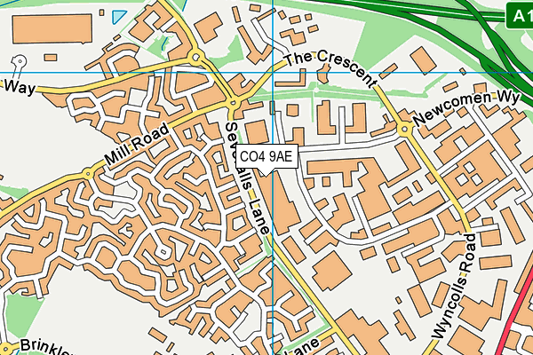 CO4 9AE map - OS VectorMap District (Ordnance Survey)