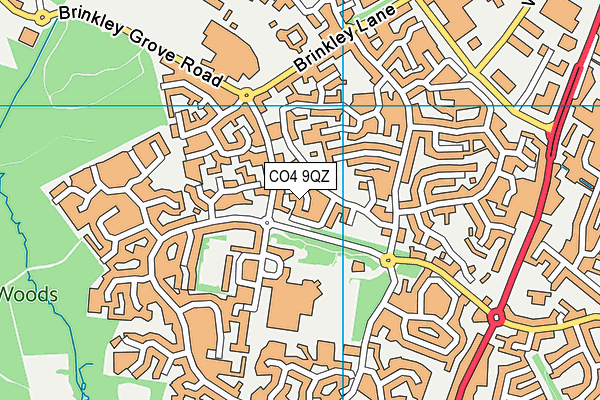 CO4 9QZ map - OS VectorMap District (Ordnance Survey)