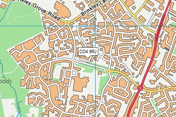 CO4 9RJ map - OS VectorMap District (Ordnance Survey)