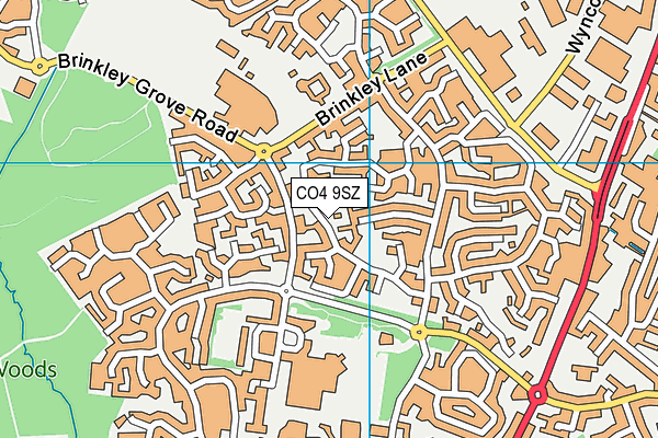 CO4 9SZ map - OS VectorMap District (Ordnance Survey)