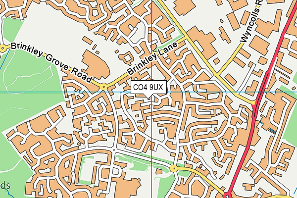 CO4 9UX map - OS VectorMap District (Ordnance Survey)