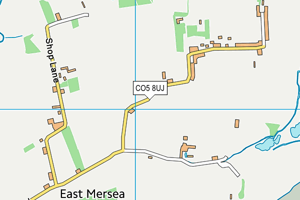 CO5 8UJ map - OS VectorMap District (Ordnance Survey)