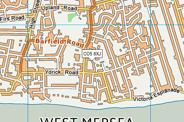 CO5 8XJ map - OS VectorMap District (Ordnance Survey)