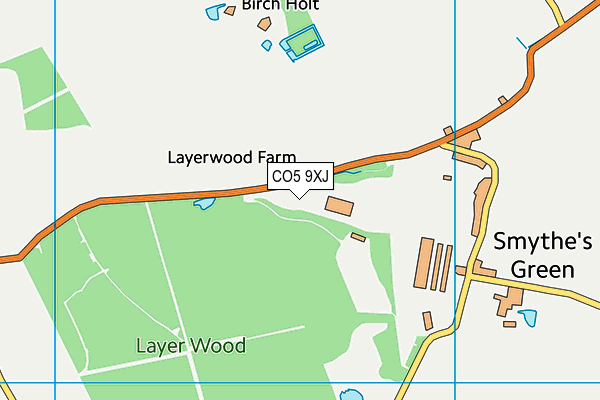 CO5 9XJ map - OS VectorMap District (Ordnance Survey)