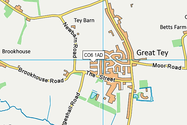 CO6 1AD map - OS VectorMap District (Ordnance Survey)