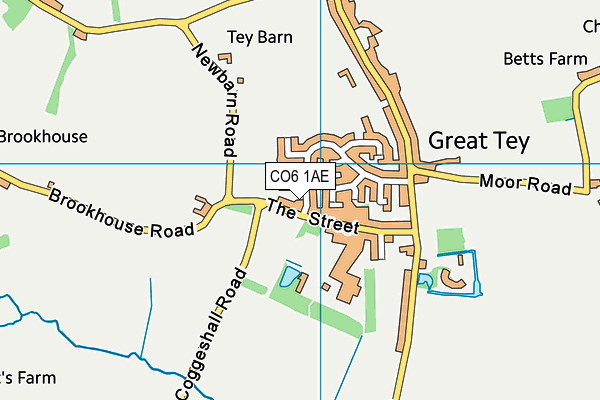 CO6 1AE map - OS VectorMap District (Ordnance Survey)