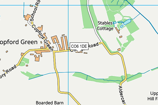 CO6 1DE map - OS VectorMap District (Ordnance Survey)