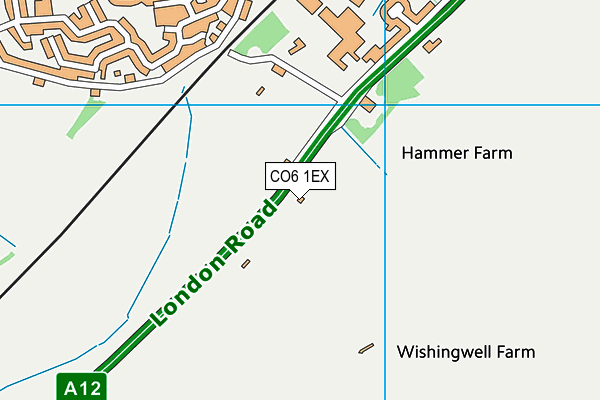 CO6 1EX map - OS VectorMap District (Ordnance Survey)