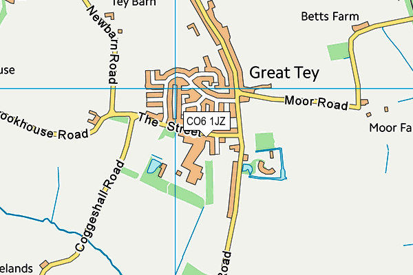 CO6 1JZ map - OS VectorMap District (Ordnance Survey)