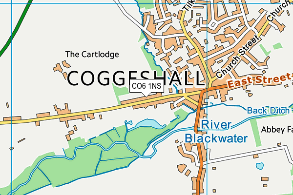 CO6 1NS map - OS VectorMap District (Ordnance Survey)