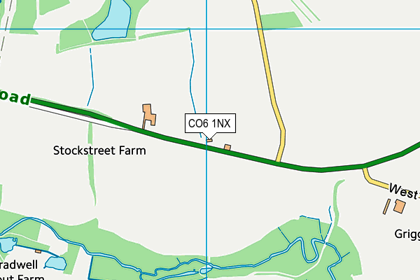 CO6 1NX map - OS VectorMap District (Ordnance Survey)