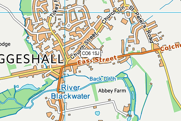 CO6 1SJ map - OS VectorMap District (Ordnance Survey)