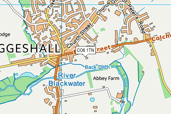 CO6 1TN map - OS VectorMap District (Ordnance Survey)