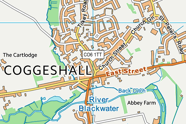 CO6 1TT map - OS VectorMap District (Ordnance Survey)