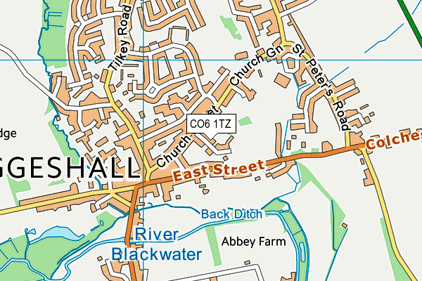 CO6 1TZ map - OS VectorMap District (Ordnance Survey)