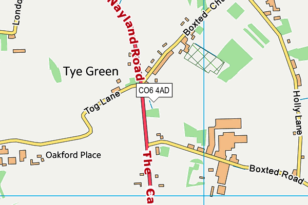 CO6 4AD map - OS VectorMap District (Ordnance Survey)