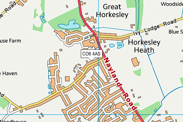 CO6 4AS map - OS VectorMap District (Ordnance Survey)