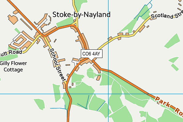 CO6 4AY map - OS VectorMap District (Ordnance Survey)