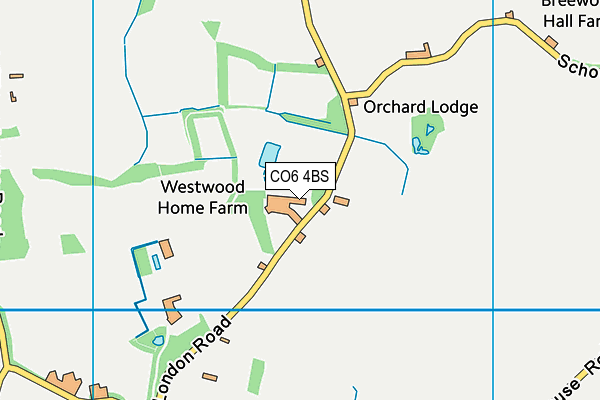 CO6 4BS map - OS VectorMap District (Ordnance Survey)