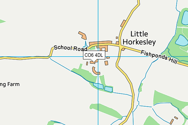 CO6 4DL map - OS VectorMap District (Ordnance Survey)