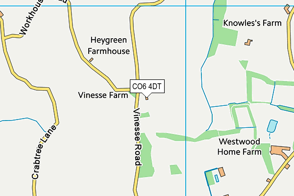 CO6 4DT map - OS VectorMap District (Ordnance Survey)